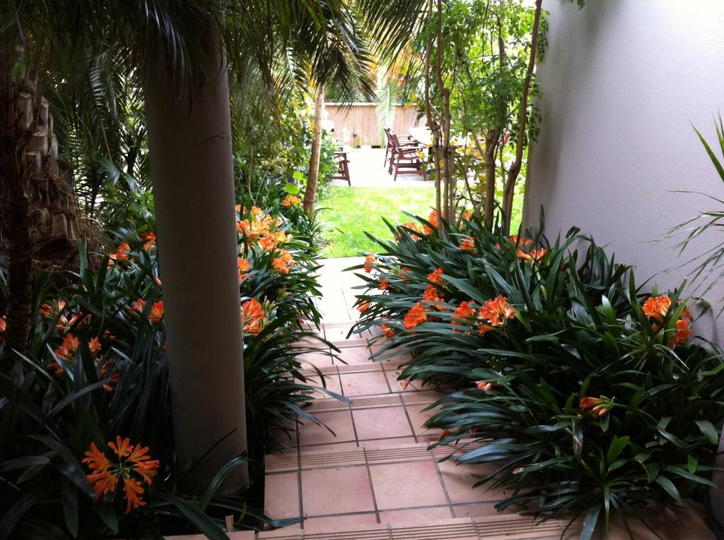 Palm Garden Apartment Auckland Kültér fotó